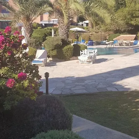 Limnaria Crystal Blue