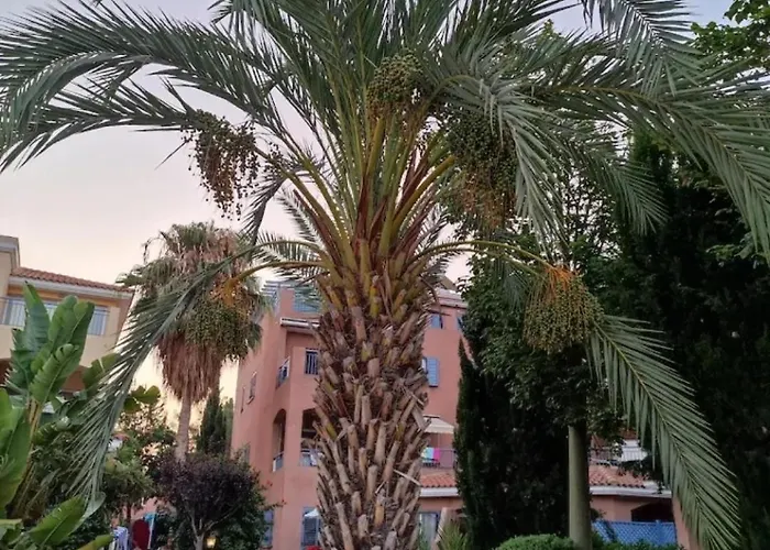 Limnaria Crystal Blue アパート